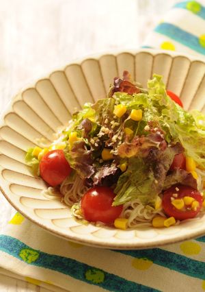 きび酢入りサラダ素麺-レシピのメイン写真
