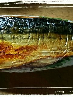焼き鯖寿司-レシピのメイン写真