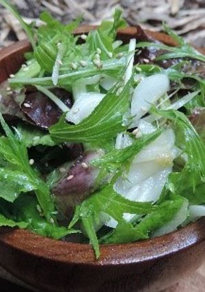 有機野菜のサラダ丼-レシピのメイン写真