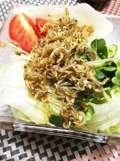 じゃこのサラダ-レシピのメイン写真