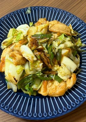 鶏むね肉の野菜炒め-レシピのメイン写真