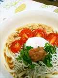 さっぱりと梅の冷やしぶっかけうどん♪