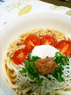 さっぱりと梅の冷やしぶっかけうどん♪-レシピのメイン写真