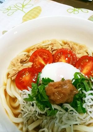 さっぱりと梅の冷やしぶっかけうどん♪-レシピのメイン写真
