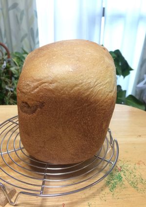 オーツブランミックスで低糖質食パン-レシピのメイン写真