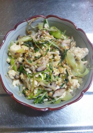 １月２９日晩飯【豆腐の野菜炒め】-レシピのメイン写真