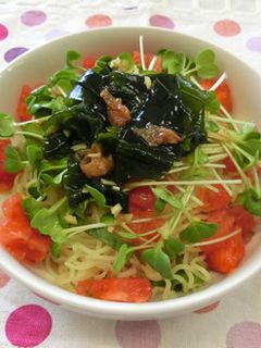 冷やし中華 ~ほんのり梅風味~-レシピのメイン写真