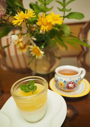 小夏とヨーグルトのヴェリーヌ♫-レシピのメイン写真