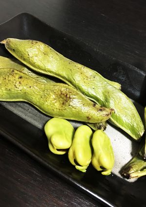 トースターで焼きそら豆-レシピのメイン写真