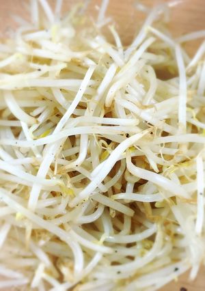 お弁当にも☆もやしナムル-レシピのメイン写真