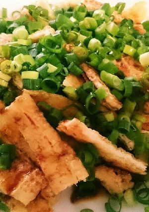 カリカリ油揚げにたっぷりネギをかけて-レシピのメイン写真