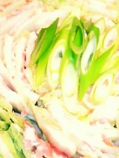 白菜と豚肉のミルフィーユ鍋-レシピのメイン写真