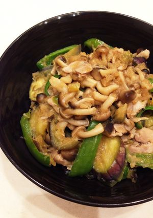 豚肉toナスピーのみぞれ煮-レシピのメイン写真