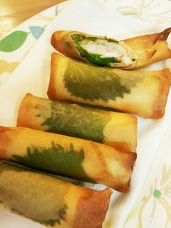 ささみチーズと大葉のゆずこしょう春巻き-レシピのメイン写真