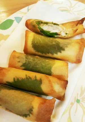 ささみチーズと大葉のゆずこしょう春巻き-レシピのメイン写真