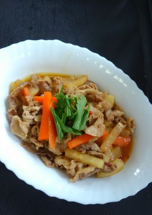 豚肉＆大根＆人参のきんぴら風炒め♪-レシピのメイン写真
