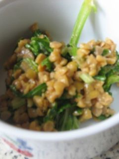 セロリの葉の納豆いため-レシピのメイン写真
