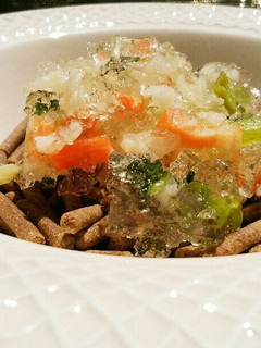 犬ご飯 鶏スープのジュレのせ-レシピのメイン写真