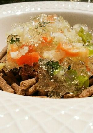犬ご飯　鶏スープのジュレのせ-レシピのメイン写真