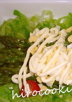 春キャベツとアスパラのミモザサラダ-レシピのメイン写真