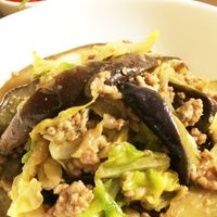 なすキャベツ様　オーダーページ 基本からアレンジまで！思わずつくりたくなる「なす キャベツ