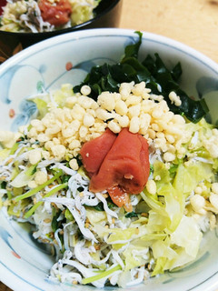 ぶっかけ!梅しらすごはん-レシピのメイン写真