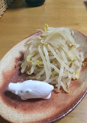 もやししかないのよあなた。。。-レシピのメイン写真