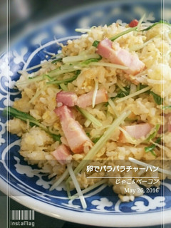 卵でパラパラチャーハン-レシピのメイン写真