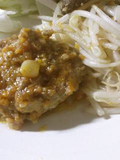にんじんと玉ねぎソースのハンバーグ☆-レシピのメイン写真
