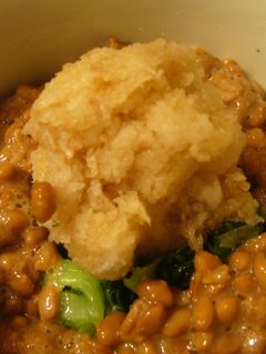 納豆苦手な人に☆青梗菜のおろし納豆あえ-レシピのメイン写真