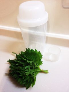 大葉が長持ち★新鮮に保存★-レシピのメイン写真