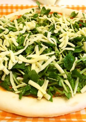 アラジントースター　野菜たっぷりピザ-レシピのメイン写真