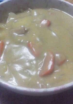 カレーシチュー-レシピのメイン写真