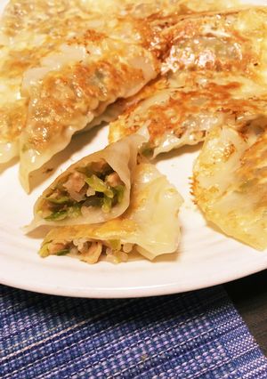 肉を使わない食べ応えバッチリ！なギョウザ-レシピのメイン写真