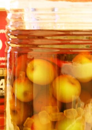 甘さ控えめ自家製梅酒-レシピのメイン写真