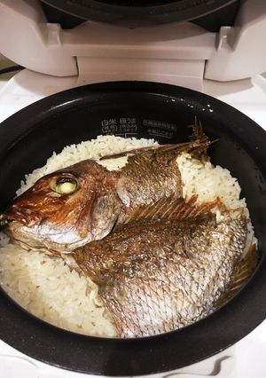 鯛めし☆炊飯器☆お食い初めの鯛使ったよ☆-レシピのメイン写真