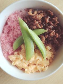 豚ひき肉の三食そぼろ丼-レシピのメイン写真
