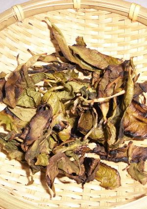 京番茶　茶摘みをした茶葉で-レシピのメイン写真