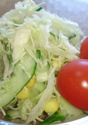 カット野菜のキャベツで♪コールスロー-レシピのメイン写真