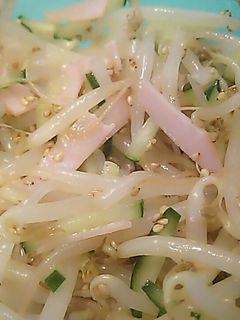 もやしとキュウリのナムル-レシピのメイン写真