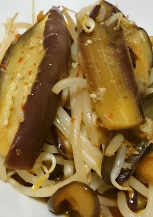 なすともやしのピリ辛中華煮びたし♪-レシピのメイン写真
