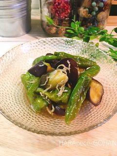 茄子とししとうの揚げ浸し。-レシピのメイン写真