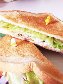 メーカーはないけどツナレタスホットサンド-レシピのメイン写真