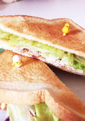 メーカーはないけどツナレタスホットサンド-レシピのメイン写真
