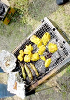 BBQ・おつまみに最適タンドリーチキン-レシピのメイン写真