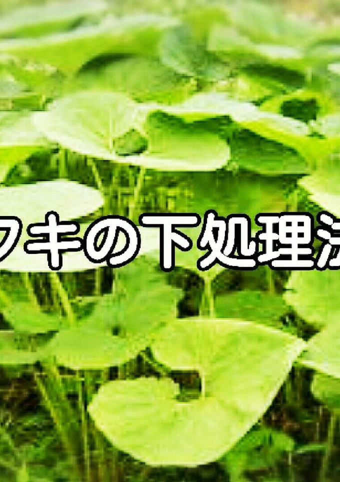 フキの下処理法 皮剥き、茹でかた-レシピのメイン写真