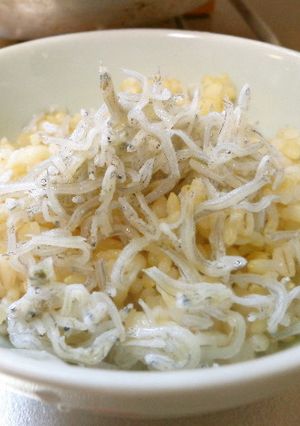 最速の釜揚げしらす丼-レシピのメイン写真
