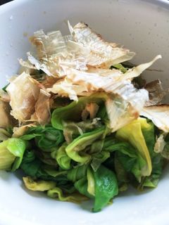 ふきのとうのお浸し-レシピのメイン写真