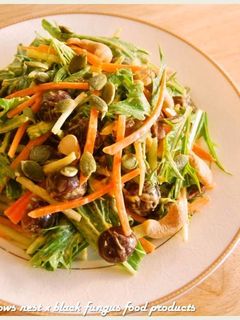 黑Q水菜堅果起司沙拉.柯媽媽の植物燕窩-レシピのメイン写真