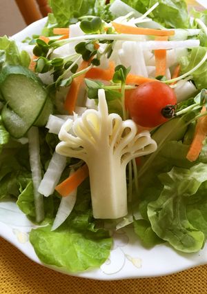 さいてにょきにょき、木のチーズサラダ-レシピのメイン写真